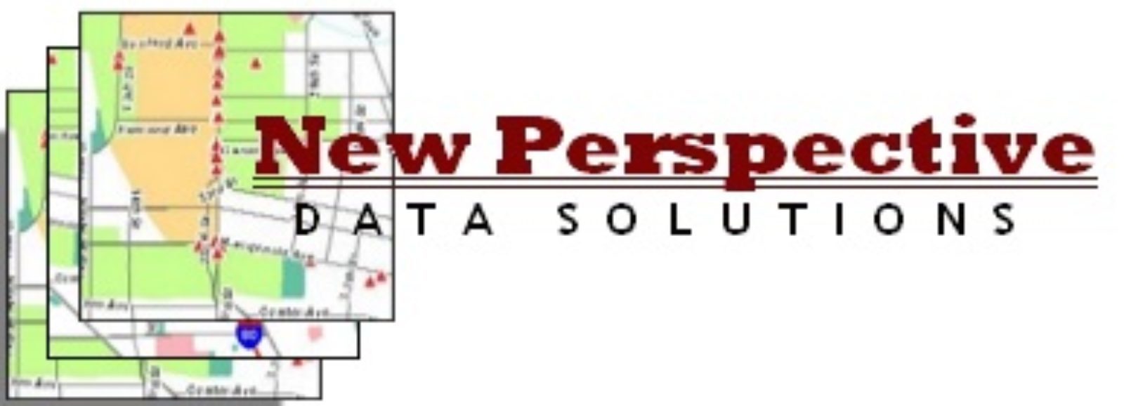 New Perspective Data Solutions